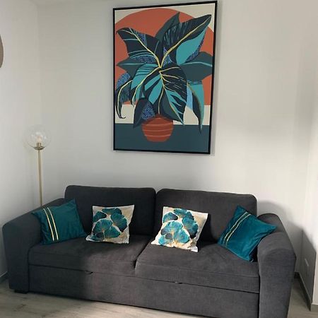Appartement Etat Neuf La Chantalane -Proche Centre-Ville 칸느 외부 사진