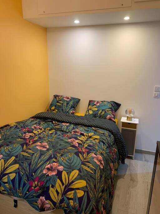 Appartement Etat Neuf La Chantalane -Proche Centre-Ville 칸느 외부 사진