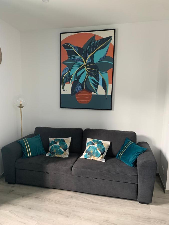 Appartement Etat Neuf La Chantalane -Proche Centre-Ville 칸느 외부 사진